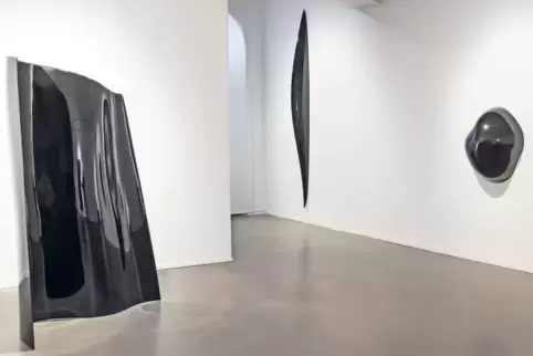 Hochglänzende Oberflächen entfalten in der Pfalzgalerie ihre Aura: Nobuyuki Tanakas Arbeiten „Imaginary Skin I“ aus dem Jahr 201