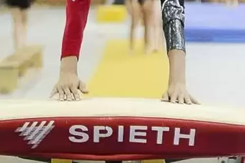  SymbolFoto: Moschel 