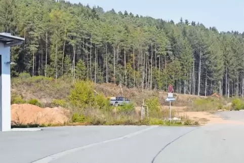 Die Fläche rechts neben dem Feuerwehrzentrum in Lemberg wird zurzeit gerodet. Eine Unternehmen aus der Vorderpfalz will seinen S