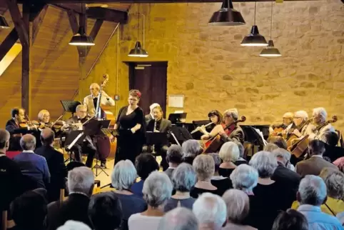 Das Salonorchester mit Sängerin und Moderatorin Martina Veit begeisterte die gut 70 Zuhörer.