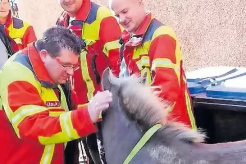 Ende gut, alles gut: Die Feuerwehr fing das Pferd mithilfe von Passanten ein.