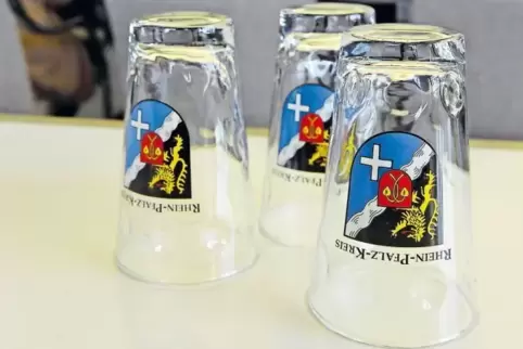 Der Rhein-Pfalz-Kreis steht Kopf. Wo soll das neue Kreishaus hin?