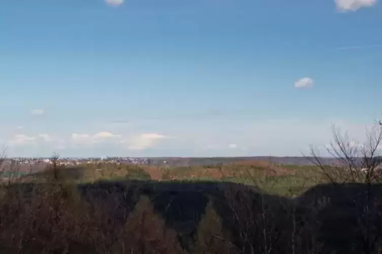 Der Blick vom Grafenfelsen in Richtung Pirmasens.