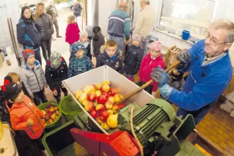 Der Paul-Gerhardt-Kindergarten Kusel war zum Apfelkeltern beim Obst-und Gartenbauverein Herschweiler-Pettersheim und schaute Erh