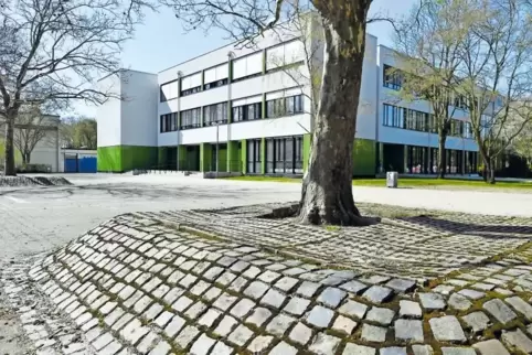 Die gepflasterten Hochbeete um die Platanen auf dem Hof der Robert-Schuman-Grundschule sollen ersetzt werden. Die Planer würden 