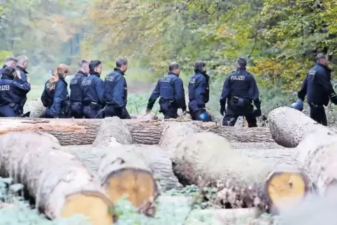 60 Polizisten durchkämmen den Wald.