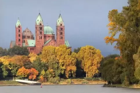 Die Pastoralreferenten werden am Samstag im Speyerer Dom zu Ständigen Diakonen geweiht. Archivfoto: Lenz 