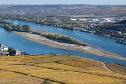 Monatelange Trockenheit und ausbleibende Niederschläge haben den Wasserstand des Rheins auf ein Minimum schrumpfen lassen. Foto: