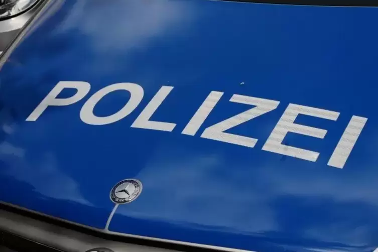Gleich mehrere Anrufe hatte die Lauterecker Polizei wegen der frei laufenden Hunde auf der B 420. Foto: Merkel