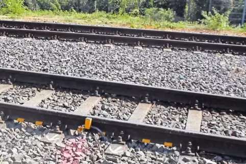 Schmieranlage: Die gelben Krallen zeigen die Standorte der Spritzdüsen an, die Spezialöl auf die Innenseite der Schiene sprühen.