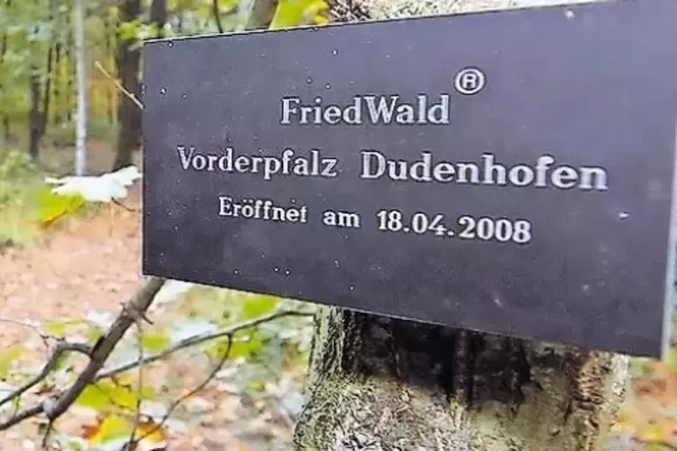 Friedwald-Plakette: An den B&auml;umen, die eine Grabst&auml;tte sind, steht auf der Plakette der Name des Verstorbenen.