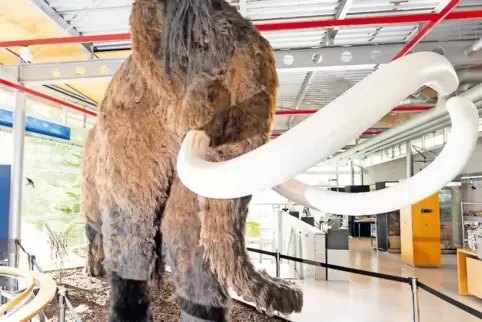 Die Mammut-Ausstellung lockte die Besucher in Scharen ins Geoskop und musste wegen der Nachfrage sogar verlängert werden.