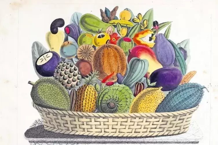 Schon um 1810 bei uns nicht unbekannt: tropische Früchte.
