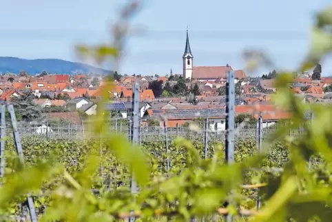 Traumhafte Lage: Maikammer ist umgeben von Reben und hat die Kalmit als „Hausberg“.