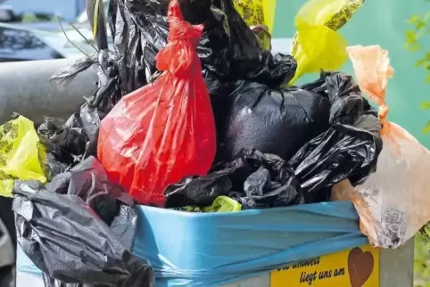 Typischer Fall für den „Mängelmelder“: ein völlig überfüllter Abfalleimer.