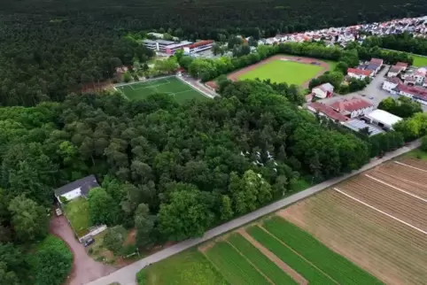 Dort, wo jetzt das Waldstück ist, wollte der Radfahrerverein Dudenhofen eine neue BMX-Bahn bauen: Sie würde an den Kunstrasenpla