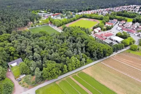 Dort, wo jetzt das Waldstück ist, wollte der Radfahrerverein Dudenhofen eine neue BMX-Bahn bauen: Sie würde an den Kunstrasenpla