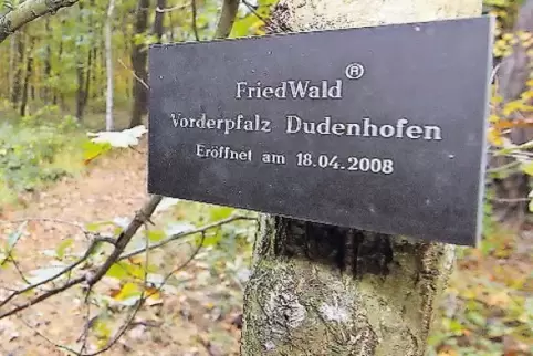 An den Bäumen, die eine Grabstätte sind, steht auf der Plakette der Name des Verstorbenen.