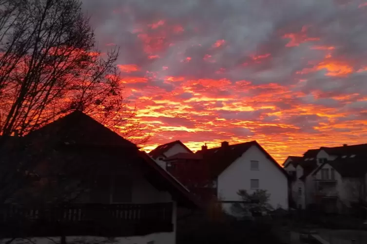 Ludwigshafen_Veronika_Reichelt.jpg