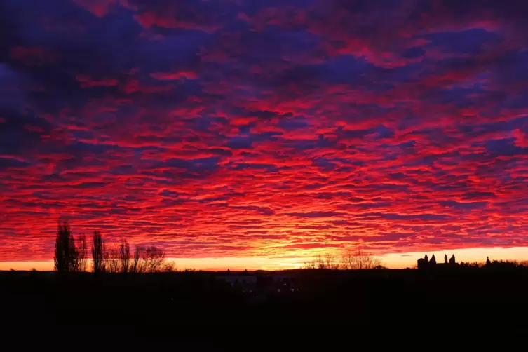 sonnenaufgang_keller.jpg