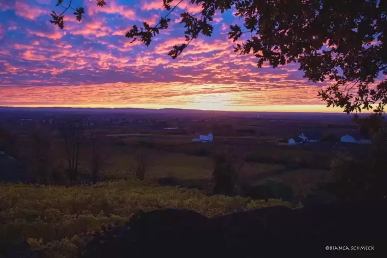 herxheimberg_schmeck.jpg