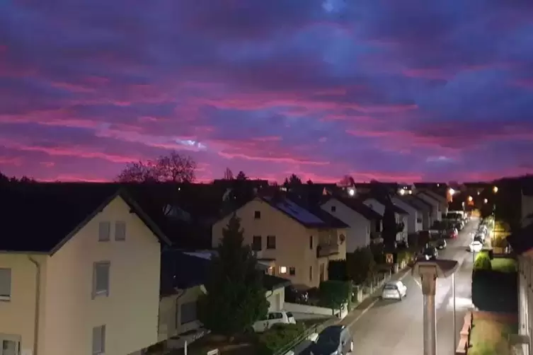 breitwieser.jpg