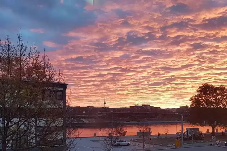 ludwigshafen_rodriguez.jpg