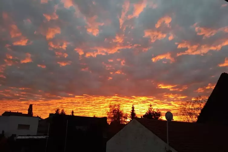 Claudia_Sa_Frankenthal.jpg
