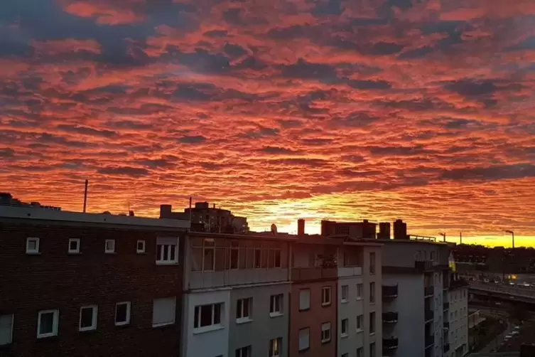 Ludwigshafen_berst.jpg