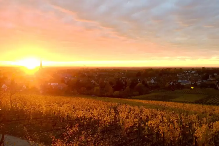 Deidesheimer_Weinbergen._Gruesse__Friederike_Zeit_Narum.jpg
