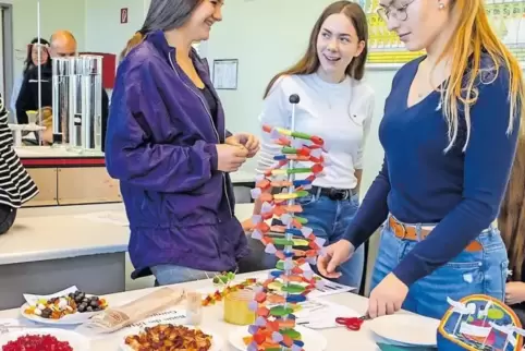 Biologie zum Anbeißen: Beim Infotag der IGS Eisenberg durften Interessierte aus unterschiedlich bunten Gummibärchen ein vorgegeb
