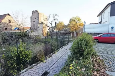 Die Freifläche zwischen Storchenturm und Weinstraße soll attraktiver gestaltet werden. Grünflächen und ein Bouleplatz sollen der