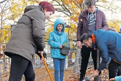 Acht Kornelkirschenbäume sollen insbesondere Bienen an der Böhämmer-Grundschule einen Lebensraum bieten.