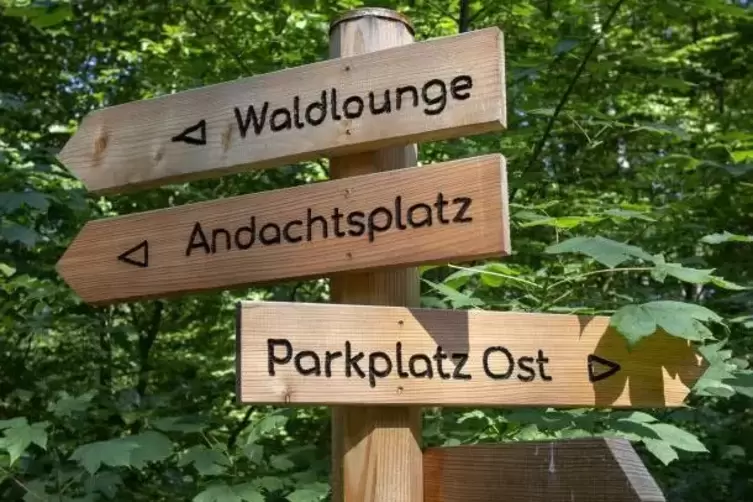 Kaiserslautern: Falschparker am Ruheforst im Fokus des Ordnungsamts -  Aktuelle Nachrichten aus der Pfalz - DIE RHEINPFALZ