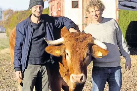 Ruben Blickensdörfer und Michael Woinzeck mit Glanrind Simon, das derzeit noch in Ausbildung ist.