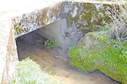Beton über Bächlein: Diese Brücke steht in Bockenheim – sie ist eine von 130, die katalogisiert wurden.