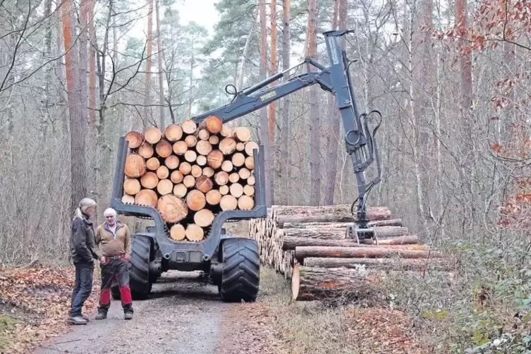 Waldarbeiten in Schifferstadt: Förster Georg Spang (links) mit Harvester-Pilot Janis Jansons.