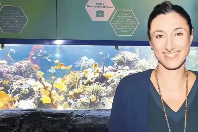 »Viele Augen sehen viel«: Christine Leingang setzt auf Teamarbeit im Sealife.