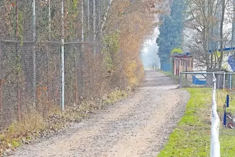 Soll im kommenden Jahr saniert werden: der Dorfwiesenweg in Duttweiler.