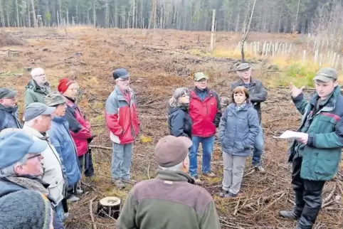 Gerodet: Im Reichswald mussten in diesem Jahr auf einer 1,3 Hektar großen Fläche zahlreiche Fichten gefällt werden. Die anhalten