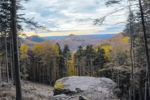 Dieses Panorama wird sich vom künftigen barrierefreien Aussichtspunkt unweit des Hermersbergerhof bieten.