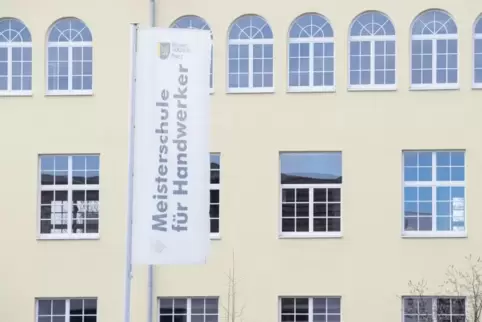 Die Gutachter beurteilen den Bezirksverband Pfalz kritisch. Unter anderem bemängeln sie, dass die Lehrkräfte an der Meisterschul