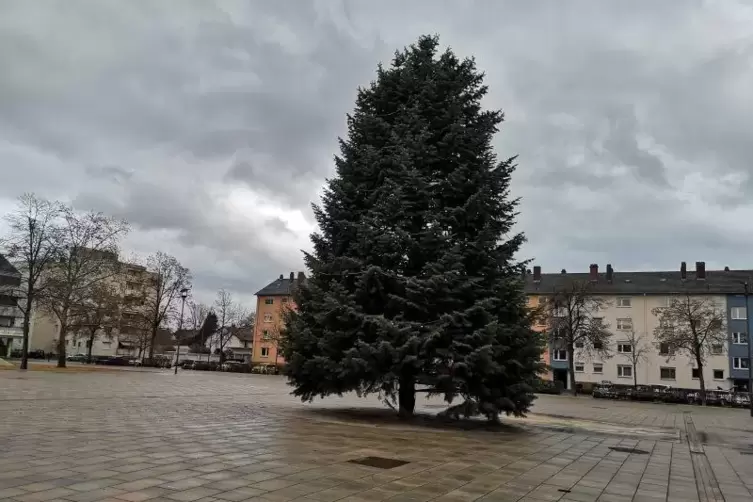 Auch am Sonntag ohne vorweihnachtliche Kulisse: Der Berliner Platz in Speyer. Foto: Tauer