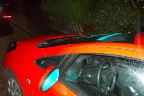 Etwa 12 Fahrzeuge wurden verunstaltet.  Foto: Polizei