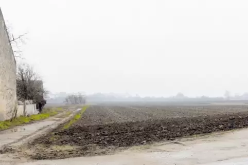 Ackerland im Nebel: Auf dieser Fläche in Dannstadt-Schauernheim soll ein Neubaugebiet entstehen.