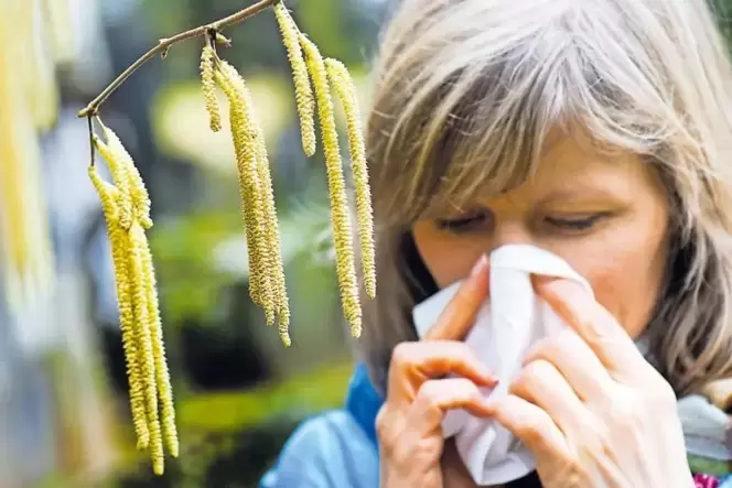 Nicht nur Pollen machen Allergikern zu schaffen.