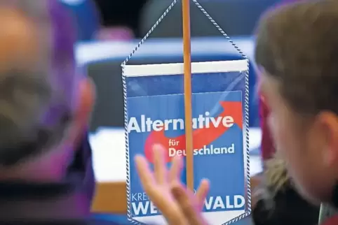 Beim AfD-Landesparteitag am Samstag in Bingen könnten verschärfte Sicherheitsmaßnahmen gelten.