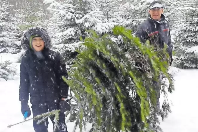 Im Schnee macht die Suche nach dem passenden Christbaum noch mehr Spaß. Auf das Wetter haben die Pfälzer Förster aber keinen Ein