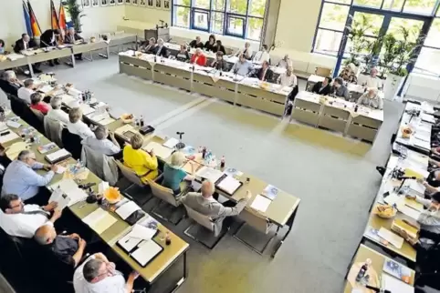 Im Rhein-Pfalz-Kreistag sind 50 Plätze zu vergeben.