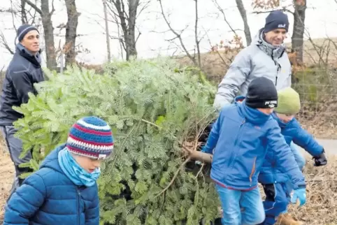 Geschafft, der Baum ist gefällt und wird abtransportiert: Dirk Drumm mit seinen Söhnen Johannes und Christoph (von links) sowie 